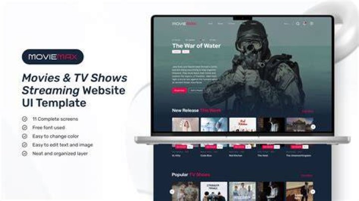 Website navigation interface