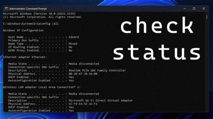 Server status verification